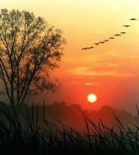 sunset