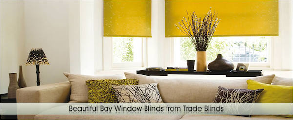 Alicia Kwan photo Choosing the Best Possible Blinds for You 03