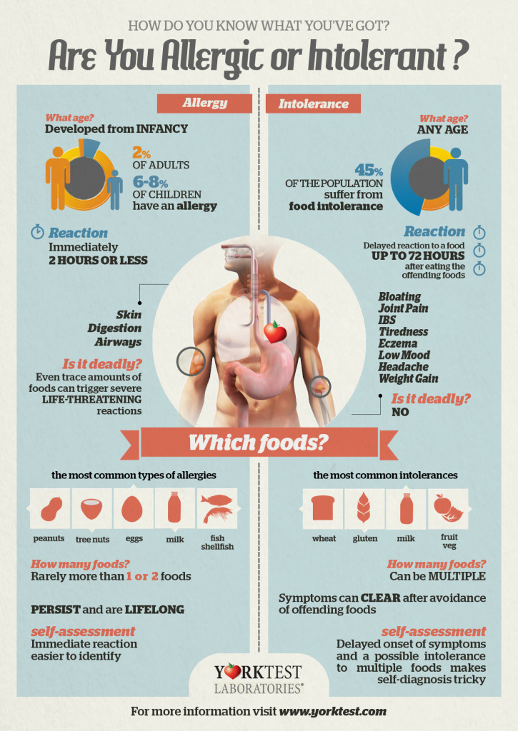 Food intolerance vs Allergy Infographic