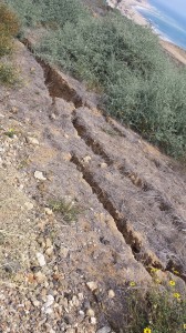ruts in ground along Palo Verdes Dr.