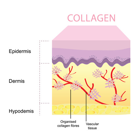 Can Collagen Supplements Reduce Wrinkles? - LivingBetter50